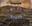 Healing Energy Magnetic 100% Linked Copper Anklets & Bracelets
