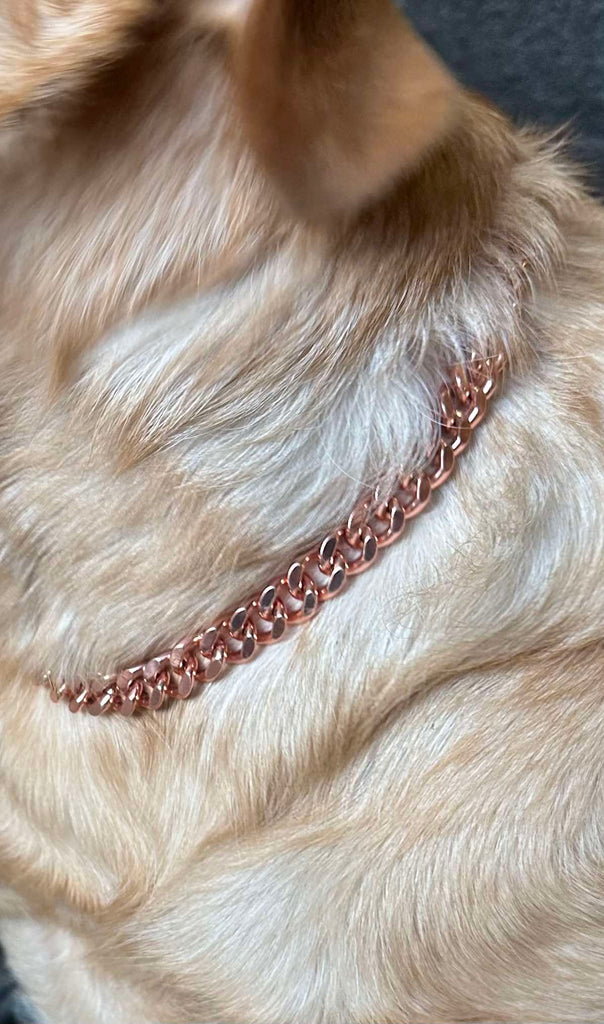 Healing Copper Dog Collar Chain-Dog Product-NZ Native Oils Ltd