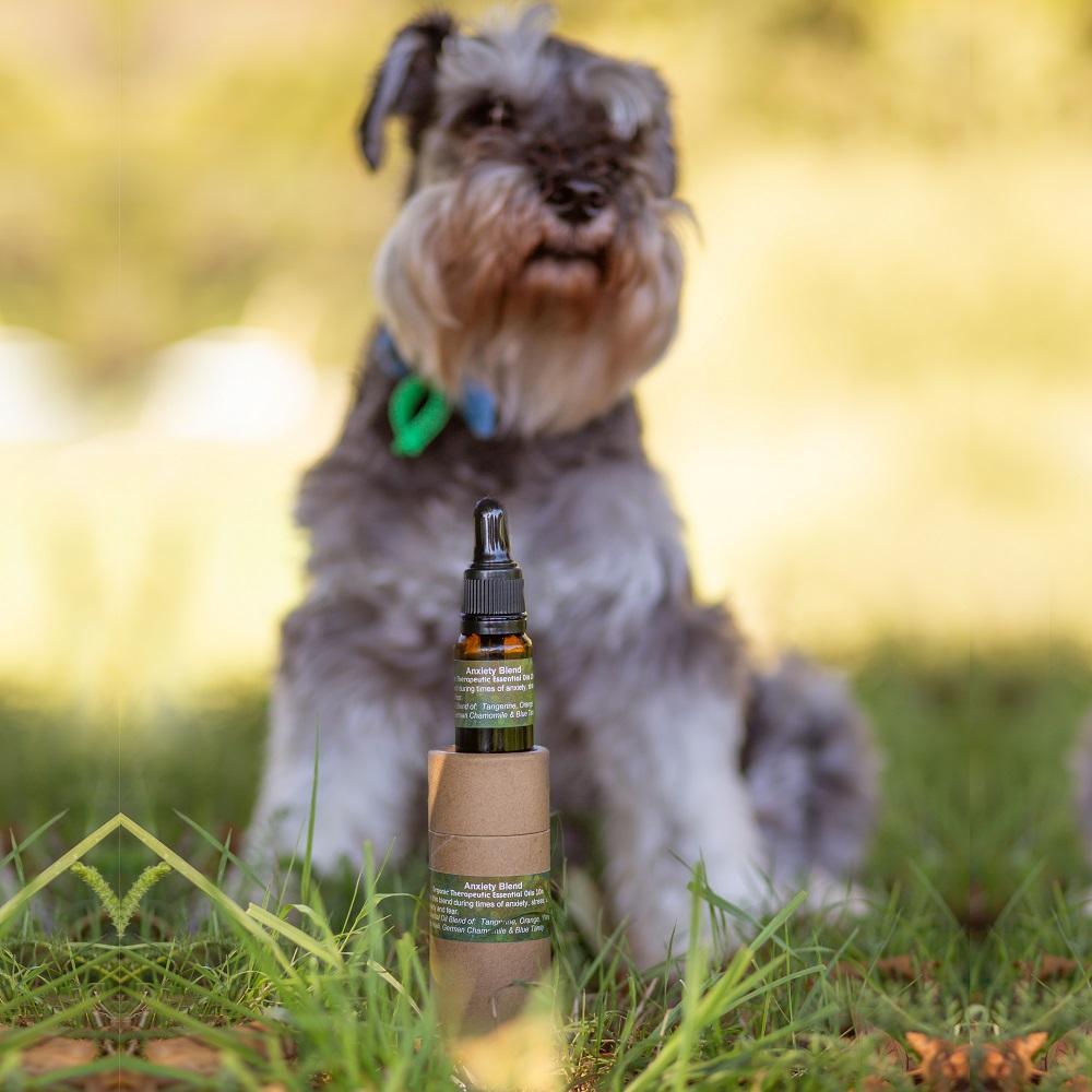 Anxiety Relief Blend For Dogs 10ml & Collar Diffuser-NZ Native Oils Ltd
