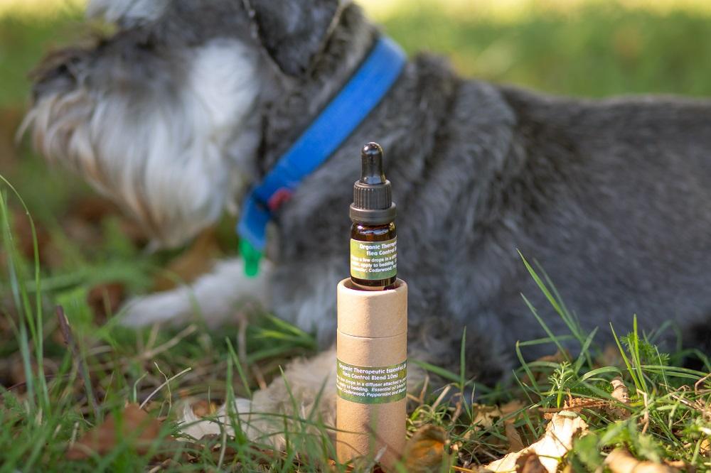 Natural Flea Protection For Dogs 10ml & Collar Diffuser-NZ Native Oils Ltd