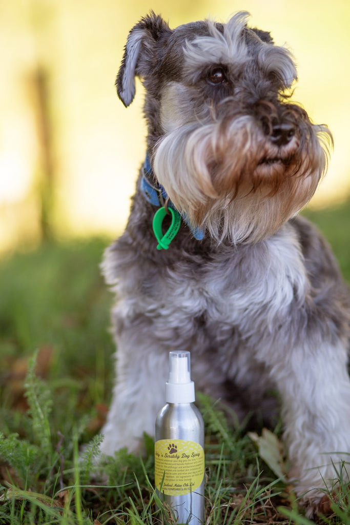 Itchy 'n Scratchy Natural Flea Repellent Spray 150ml-Dog Product-NZ Native Oils Ltd